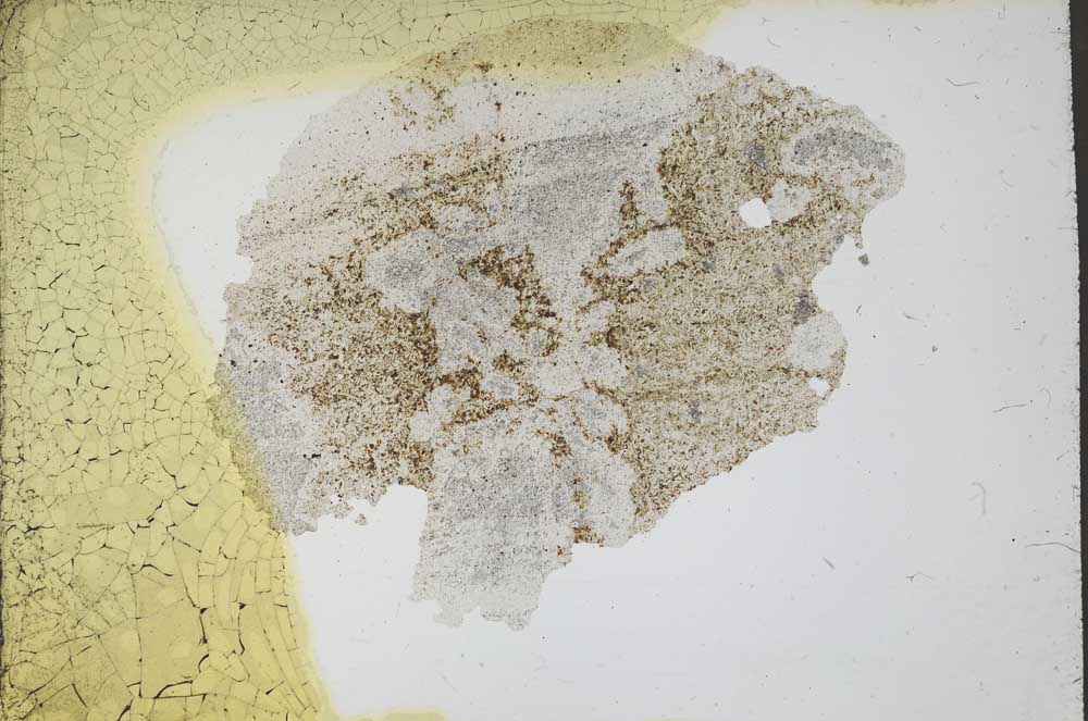 Plane Polarized, S11209