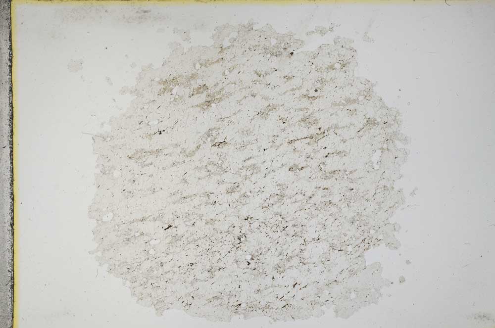 Plane Polarized, S11214