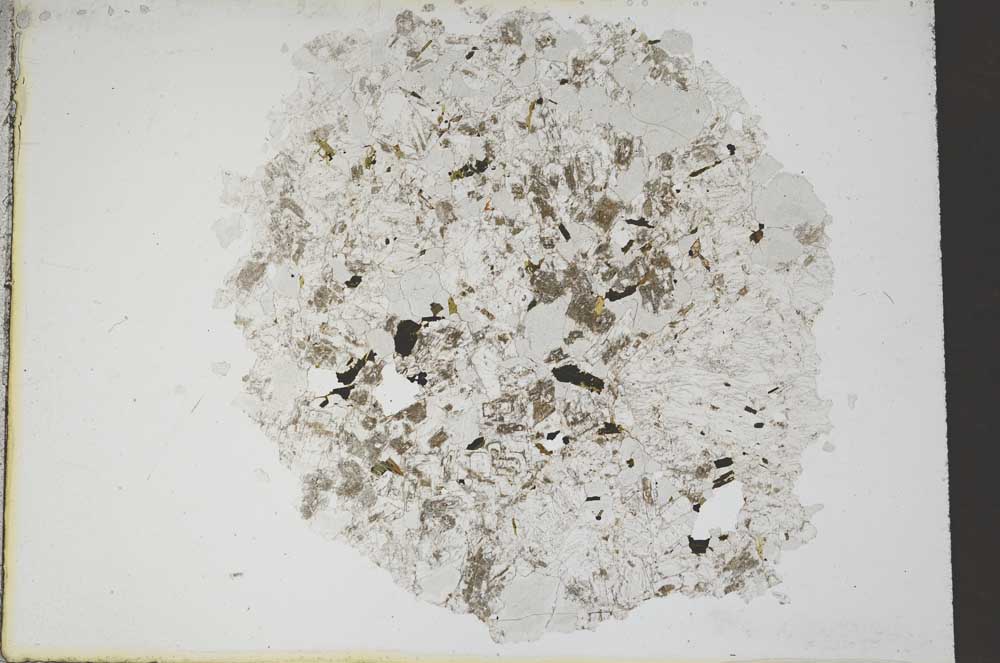 Plane Polarized, S11217