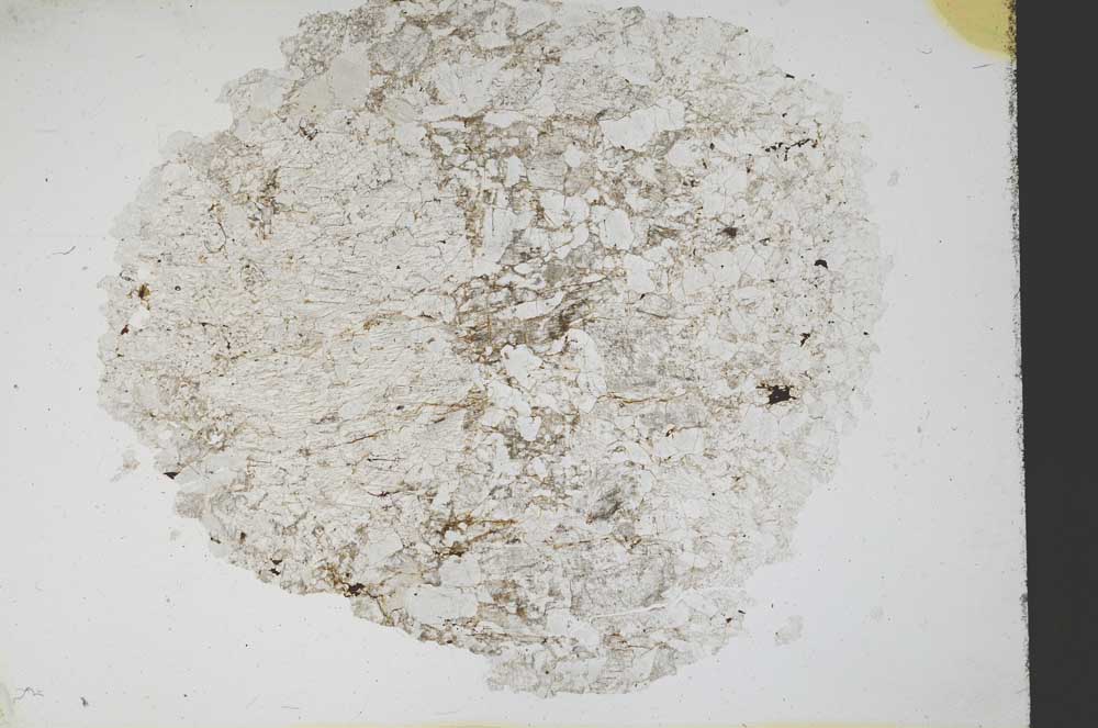 Plane Polarized, S11218