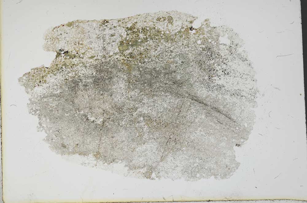 Plane Polarized, S11220