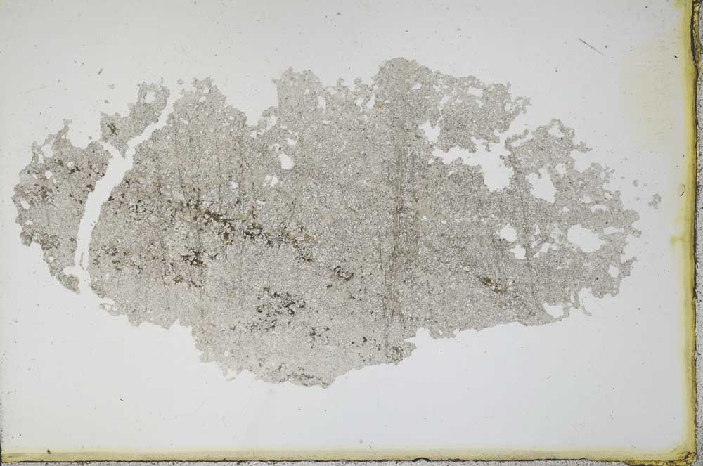Plane Polarized, S11222