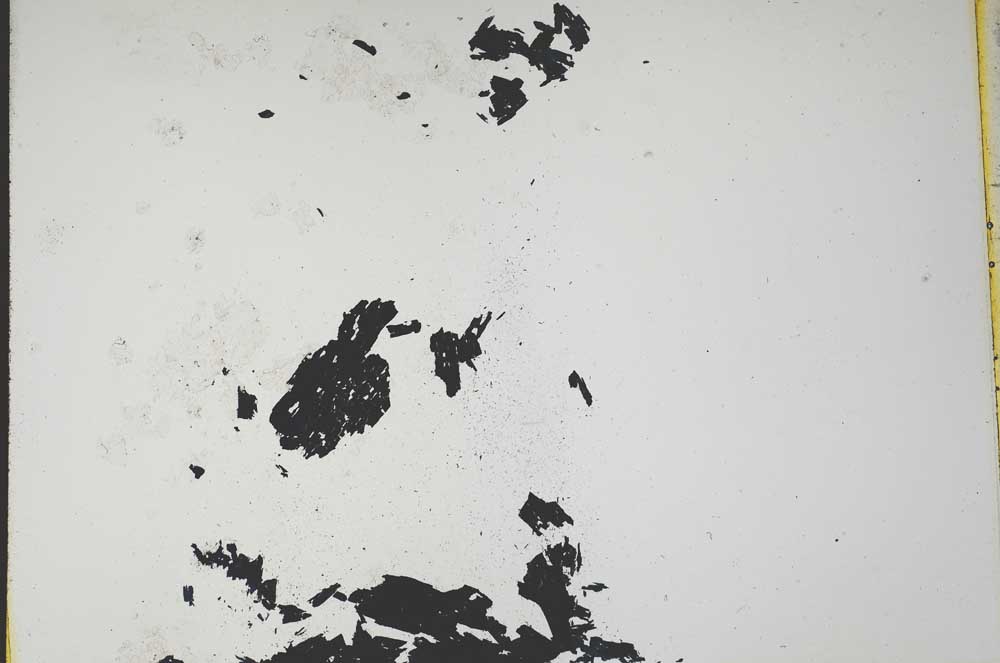 Plane Polarized, S11230