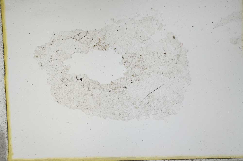 Plane Polarized, S11230/A