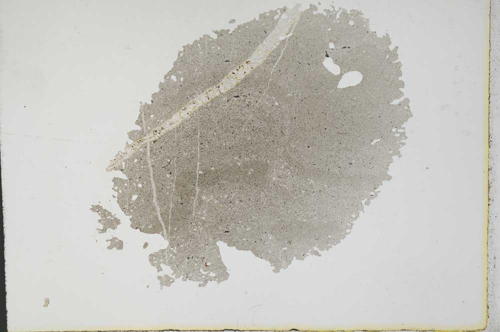 Plane Polarized, S11239