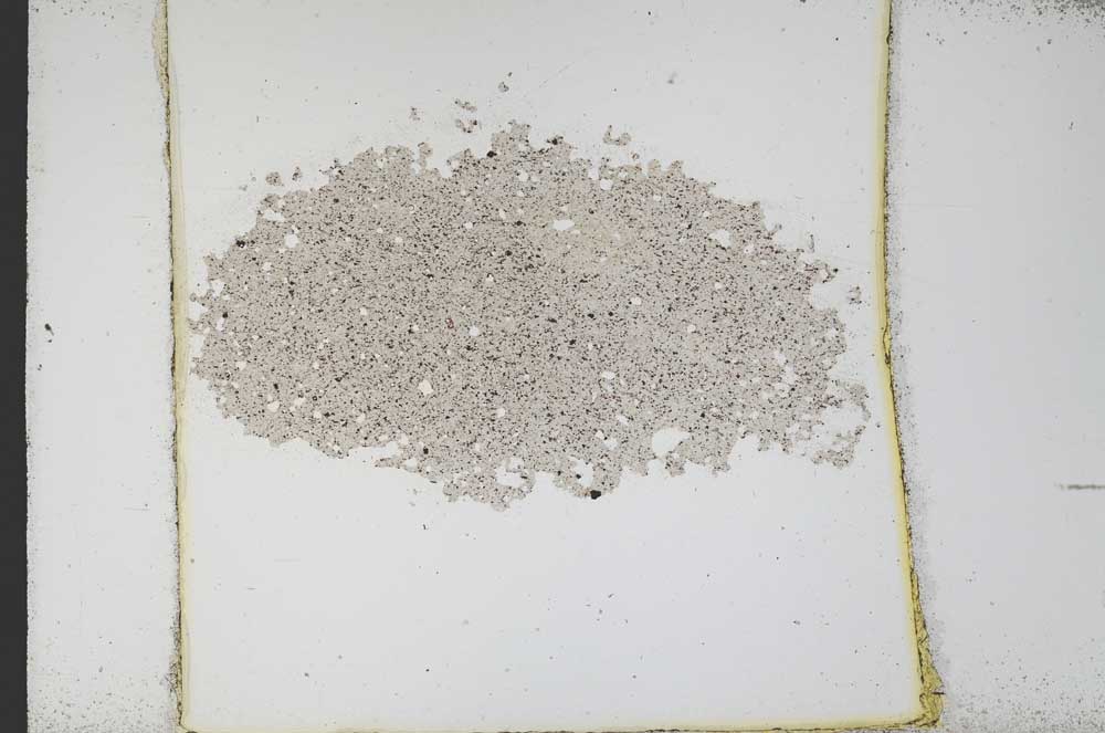 Plane Polarized, S11243