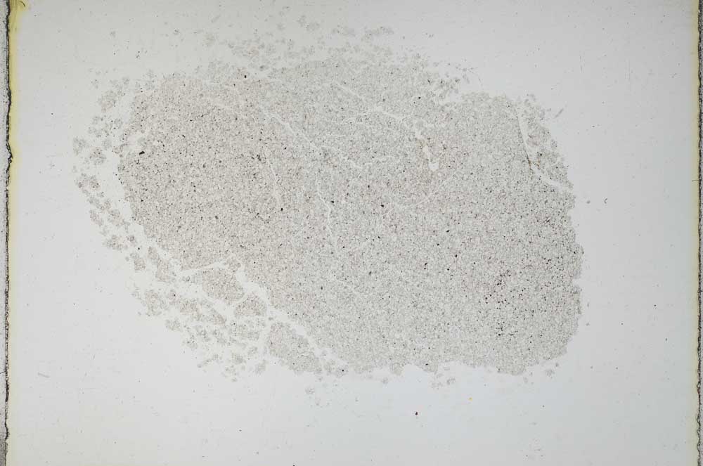 Plane Polarized, S11268