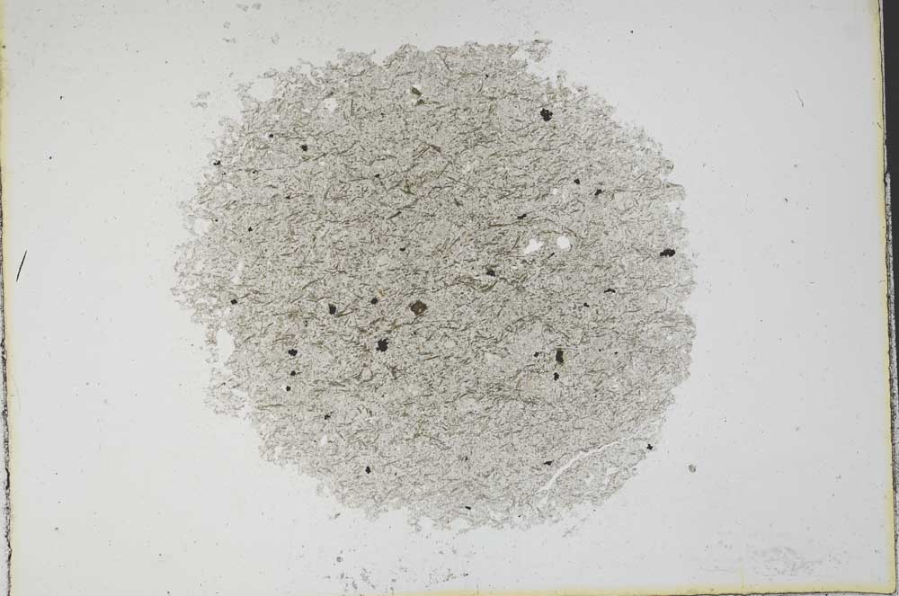Plane Polarized, S11270