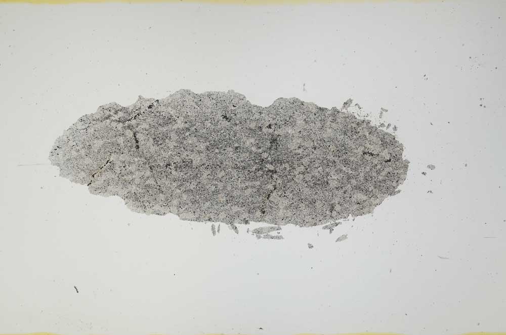 Plane Polarized, S1607