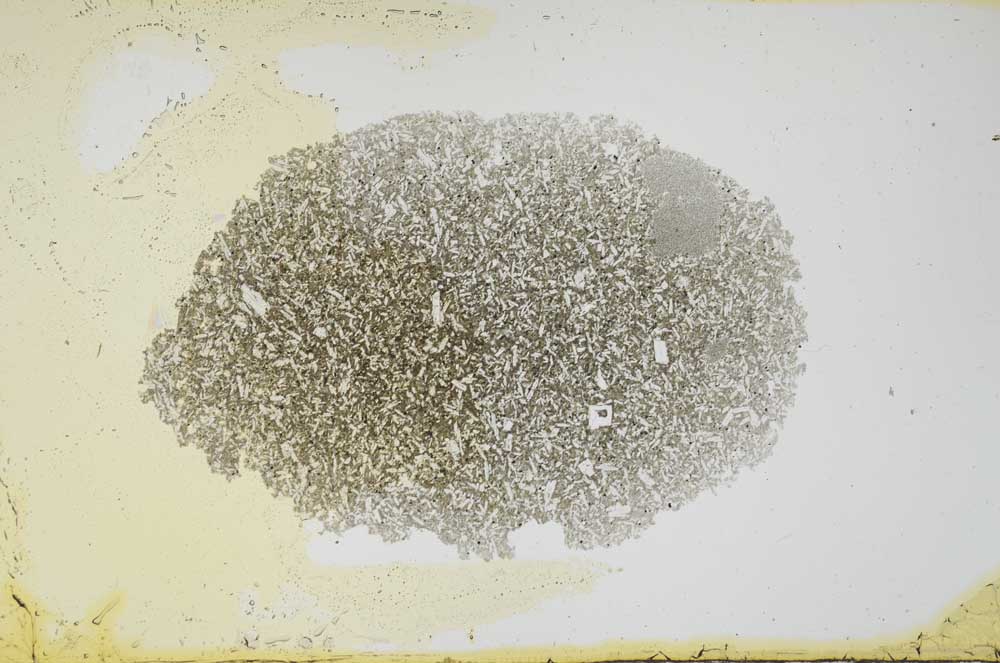 Plane Polarized, S1618