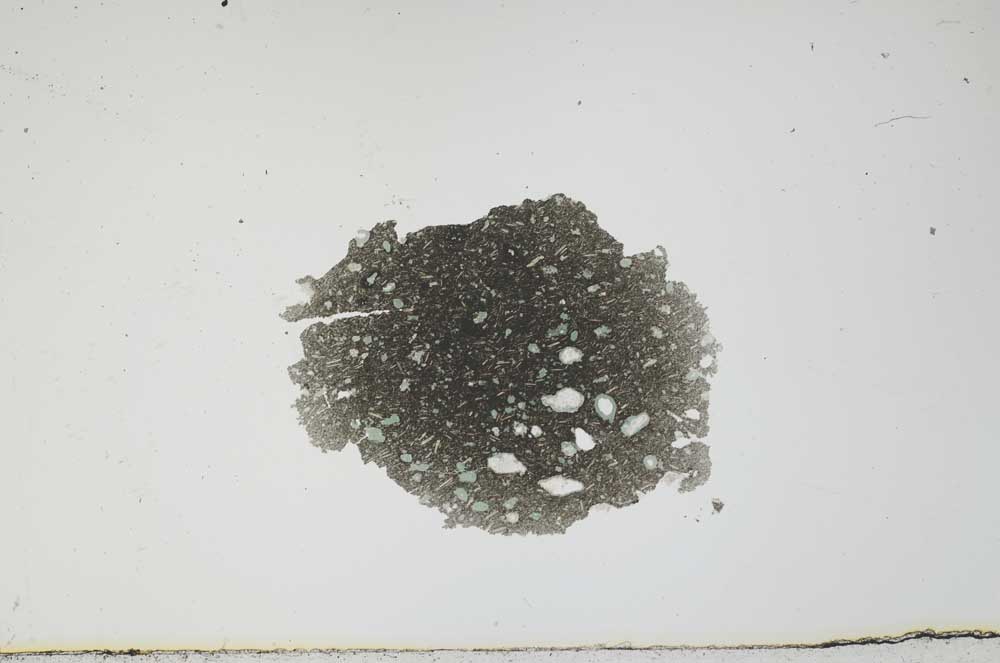 Plane Polarized, S1620