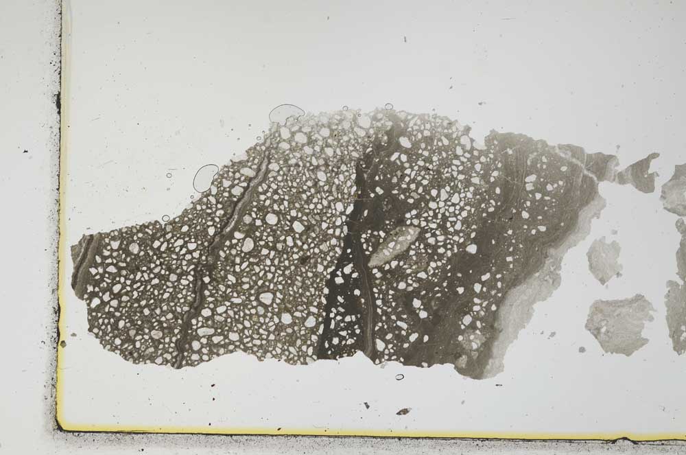 Plane Polarized, S1631