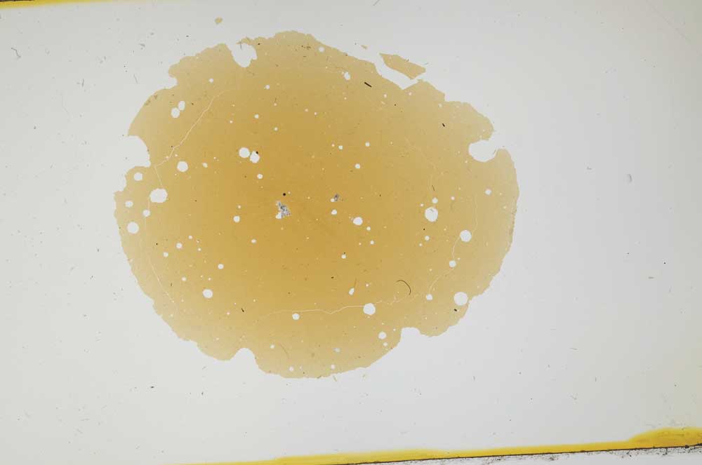 Plane Polarized, S1636
