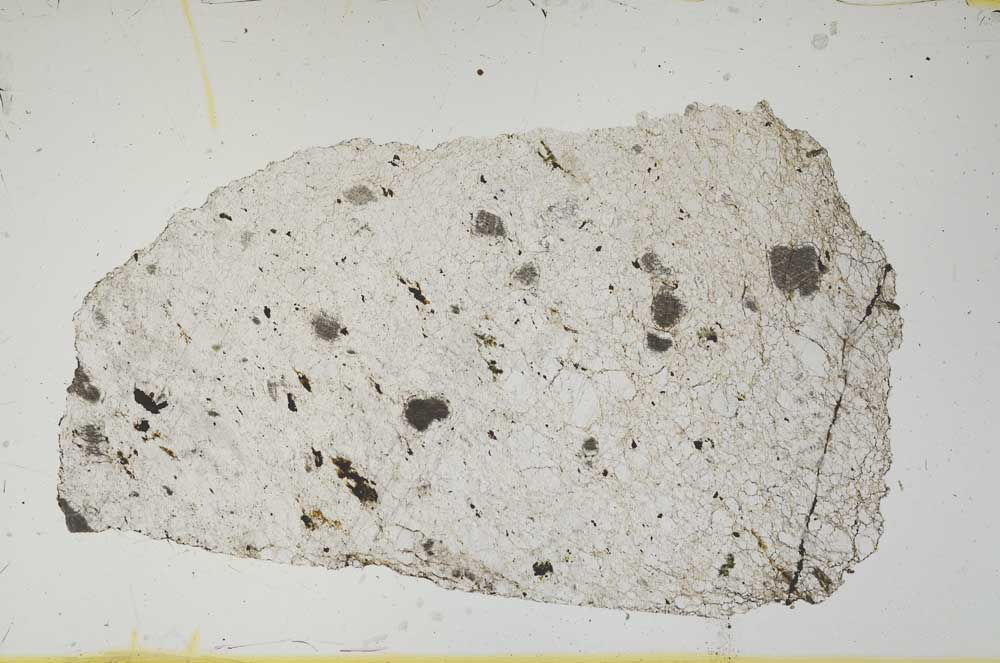 Plane Polarized, S1639
