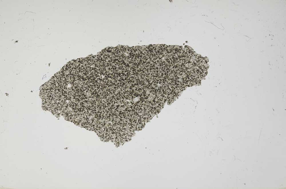 Plane Polarized, S1646