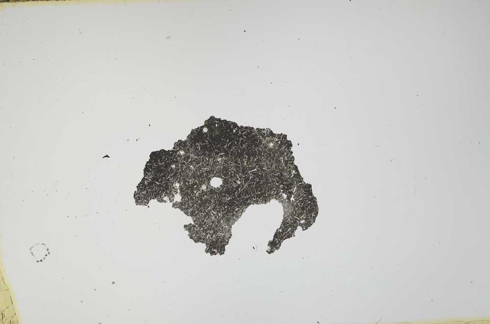 Plane Polarized, S1648