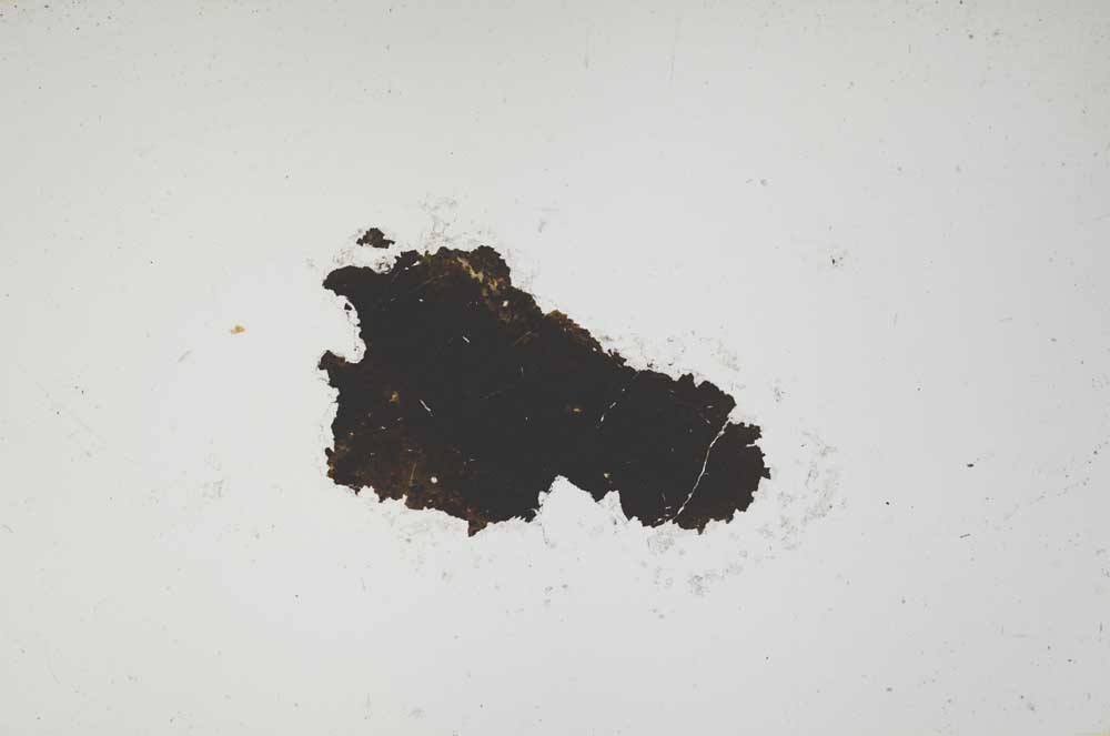 Plane Polarized, S1649