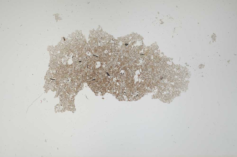 Plane Polarized, S1658