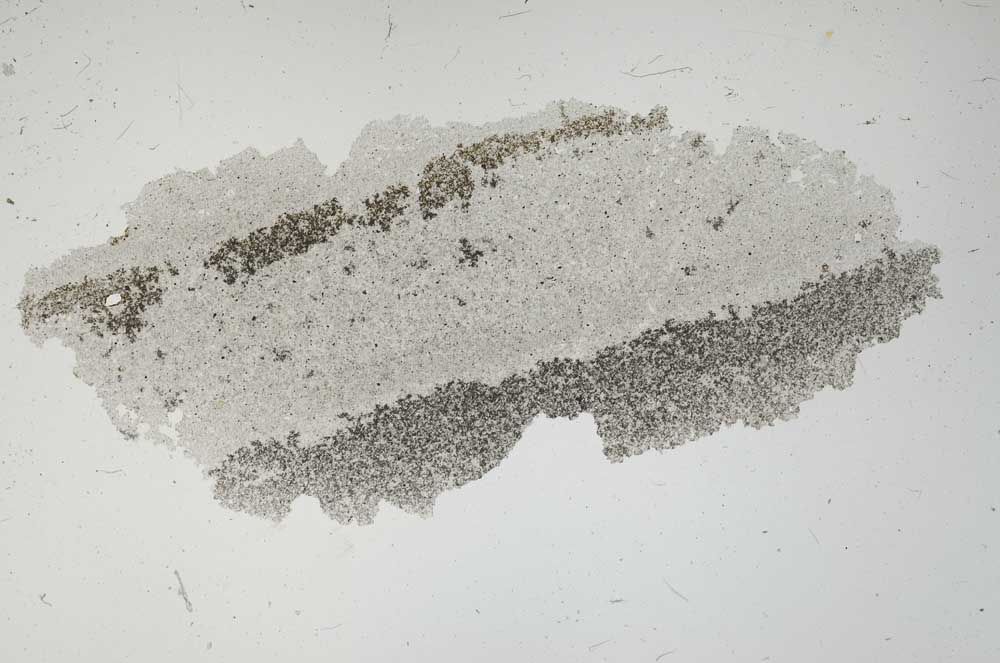 Plane Polarized, S1665