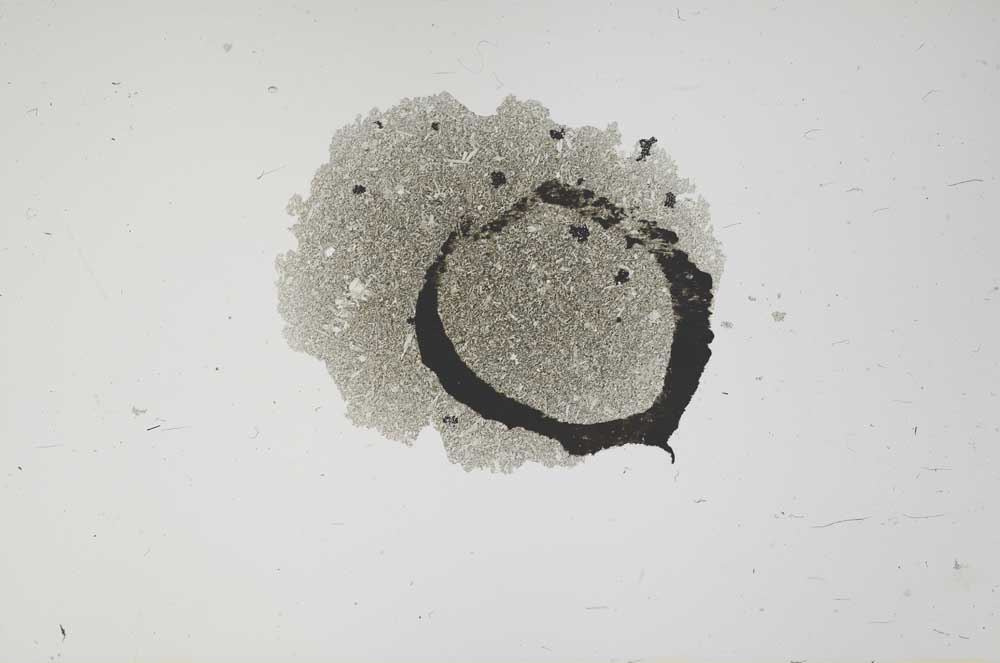 Plane Polarized, S1668