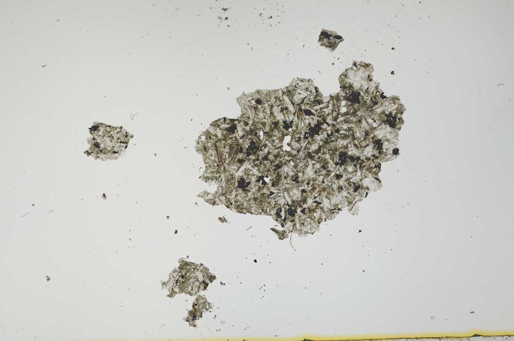 Plane Polarized, S1671