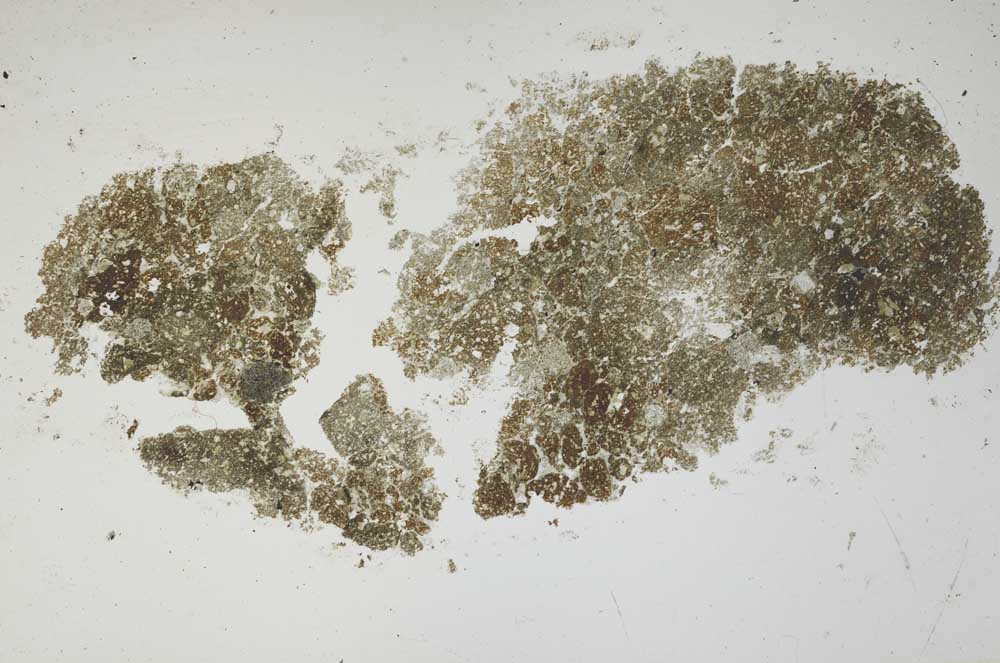 Plane Polarized, S1673