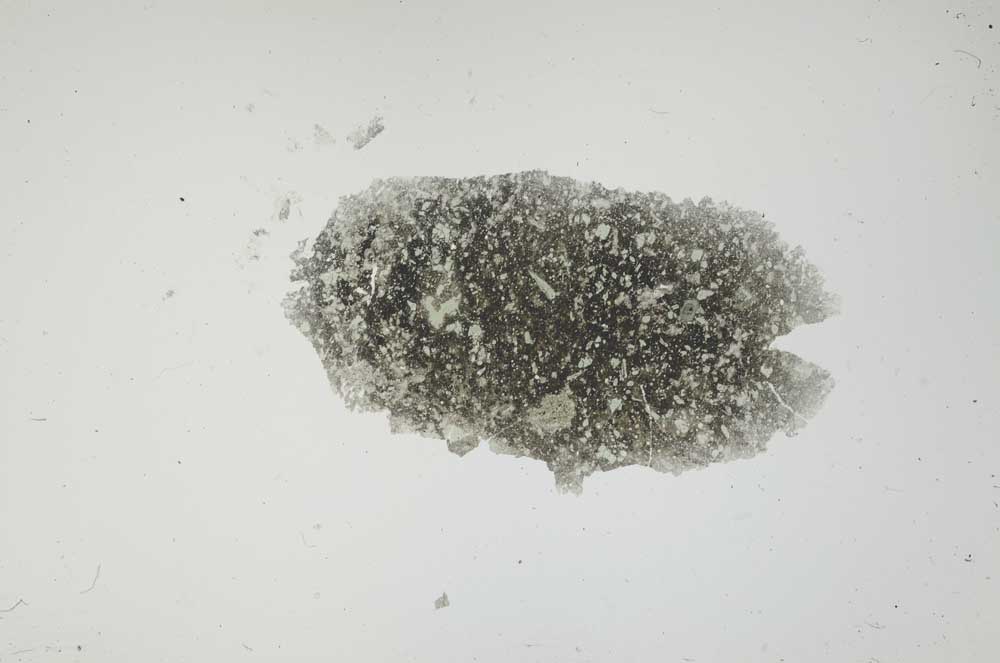 Plane Polarized, S1676