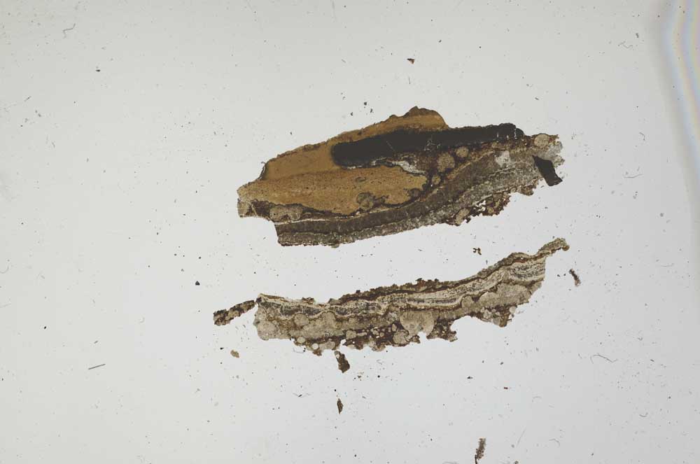 Plane Polarized, S1679