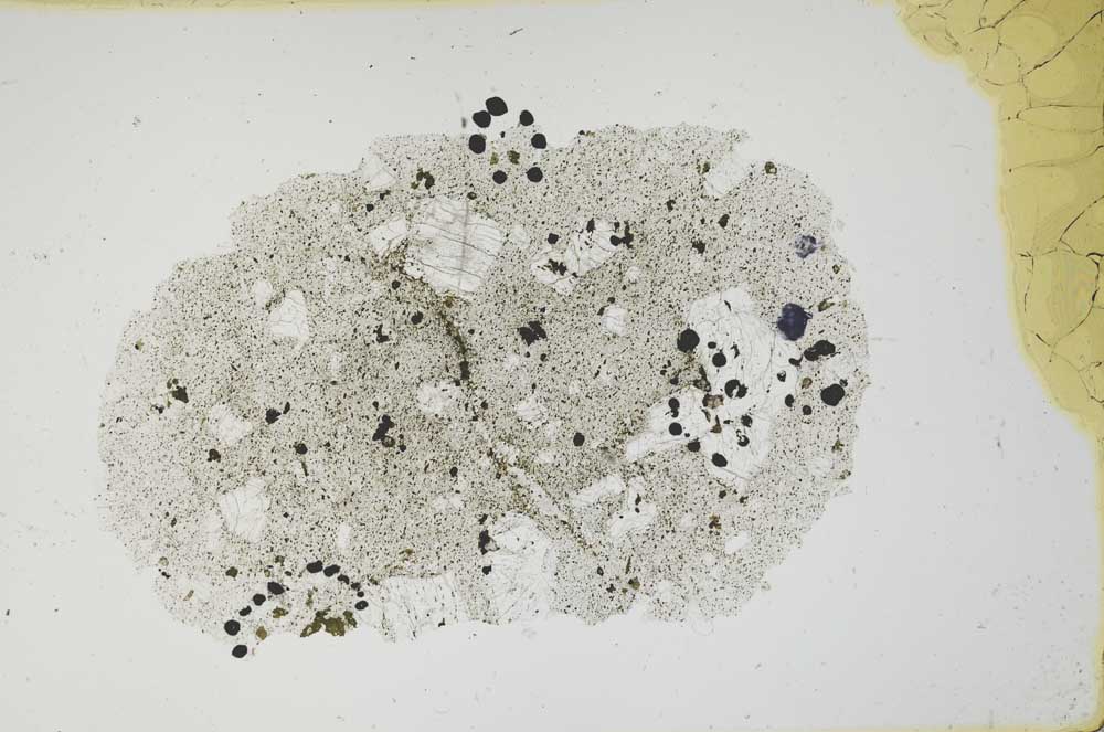 Plane Polarized, S1683