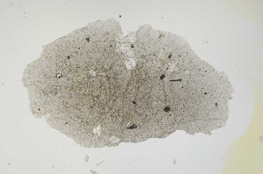 Plane Polarized, S1684