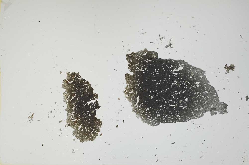 Plane Polarized, S1689/A