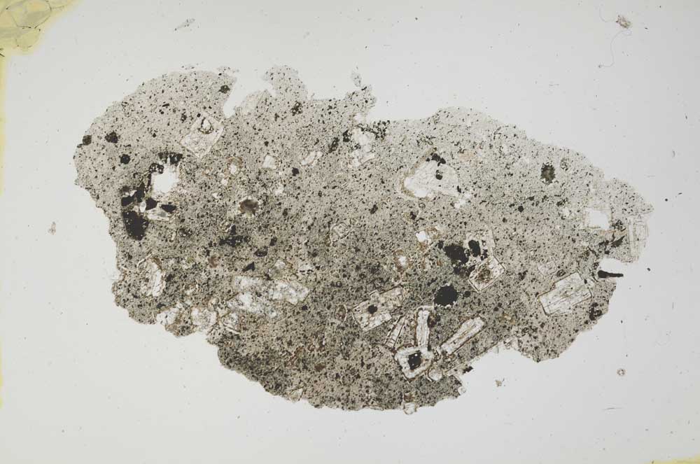 Plane Polarized, S1690
