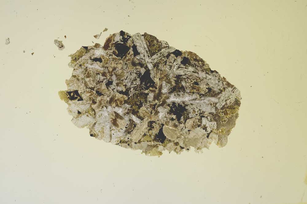 Plane Polarized, S1691