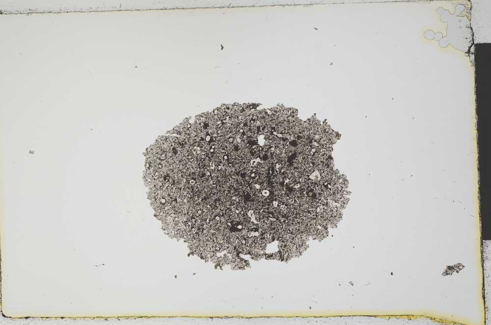 Plane Polarized, S1692