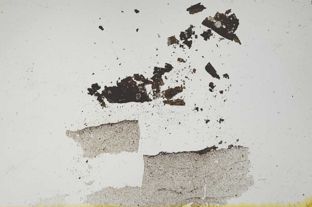 Plane Polarized, S1714