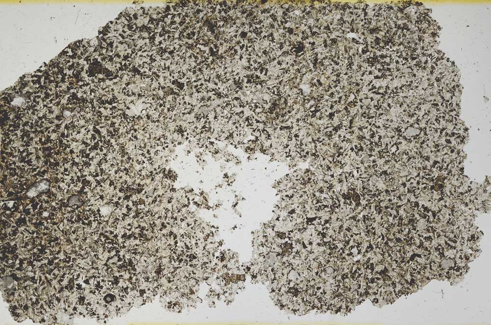 Plane Polarized, S1724