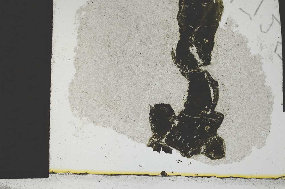 Plane Polarized, S1725