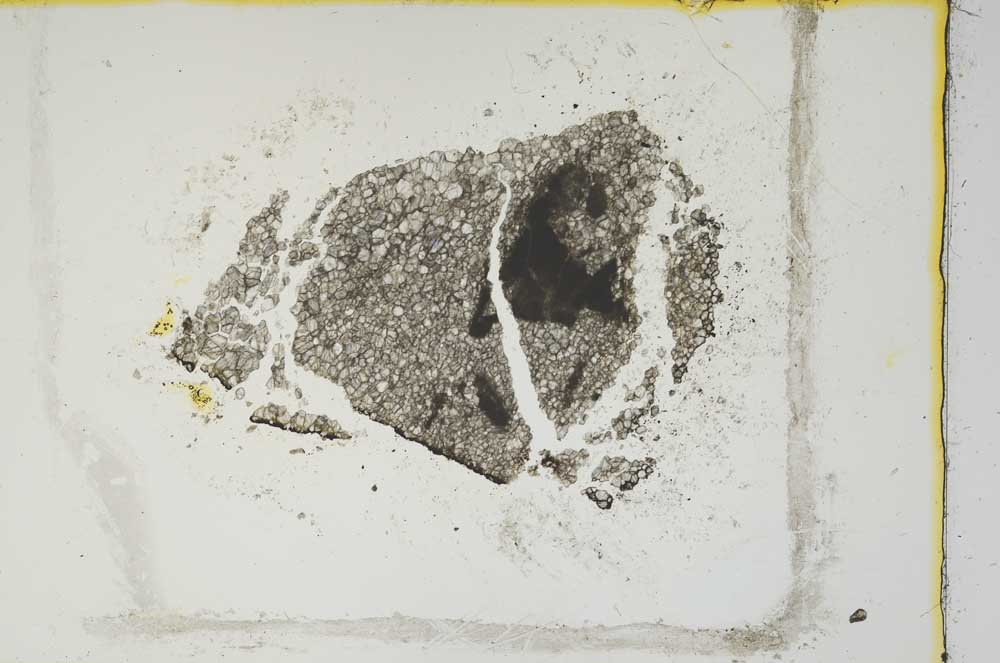 Plane Polarized, S1726