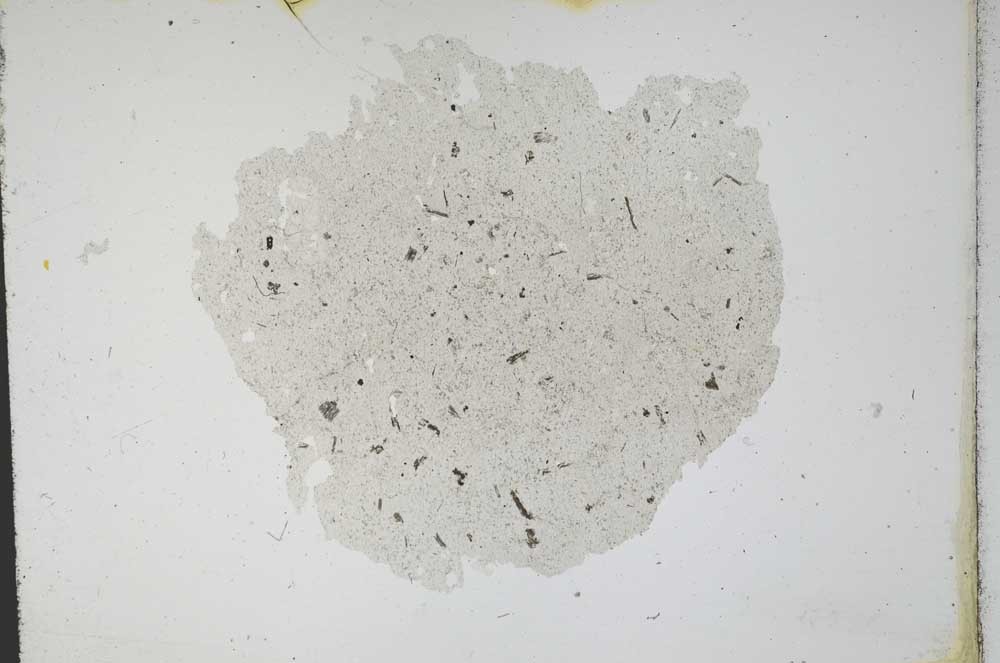 Plane Polarized, S11283