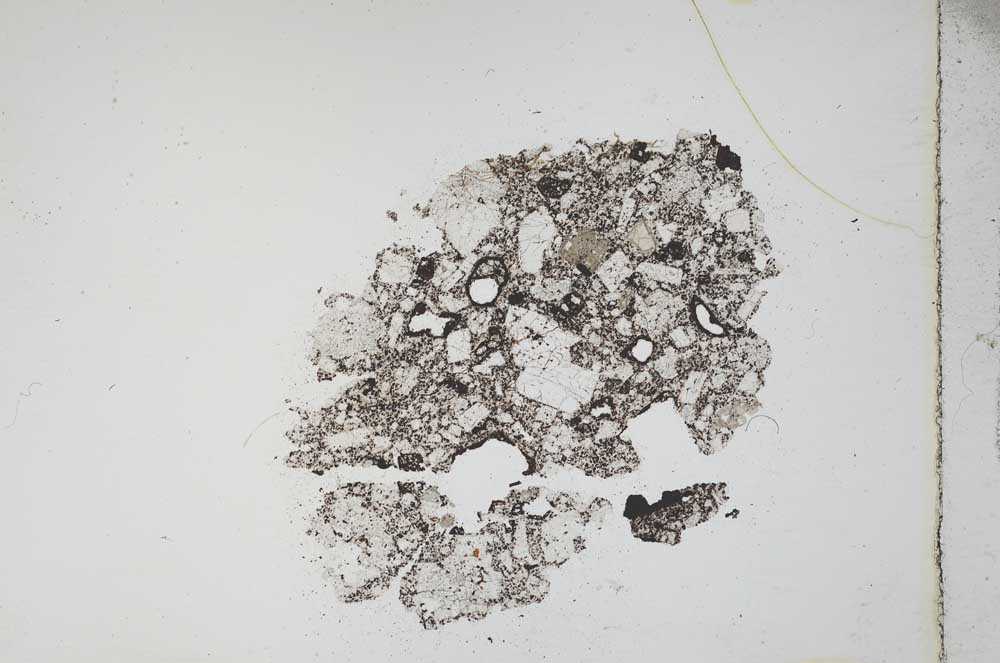Plane Polarized, S11306