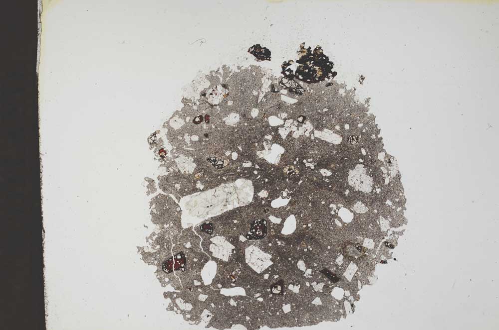 Plane Polarized, S11311
