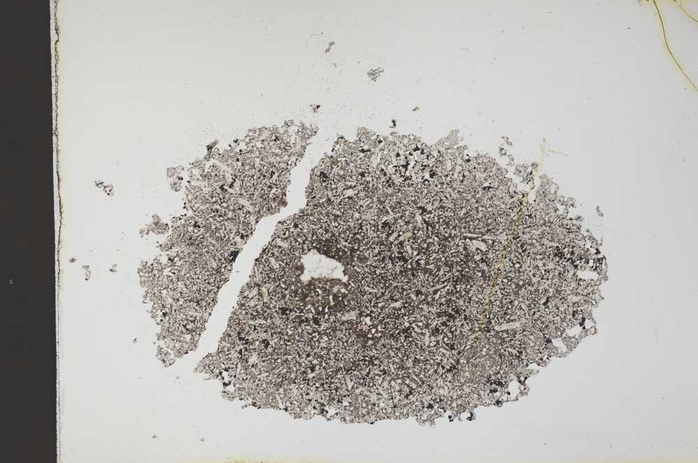 Plane Polarized, S11318