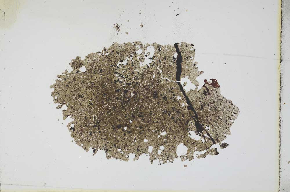 Plane Polarized, S11319