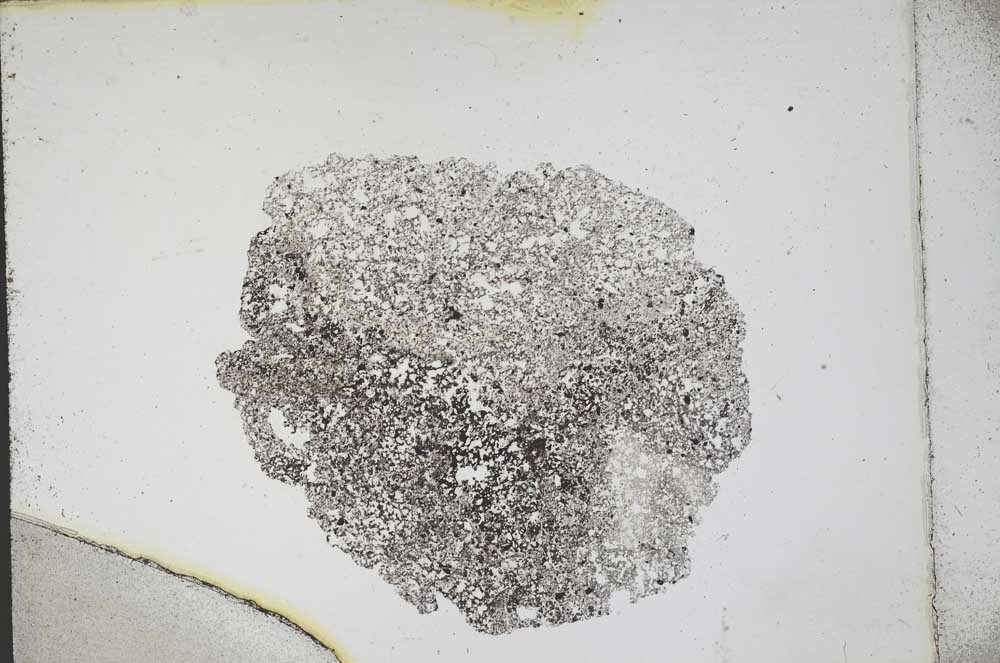 Plane Polarized, S11334