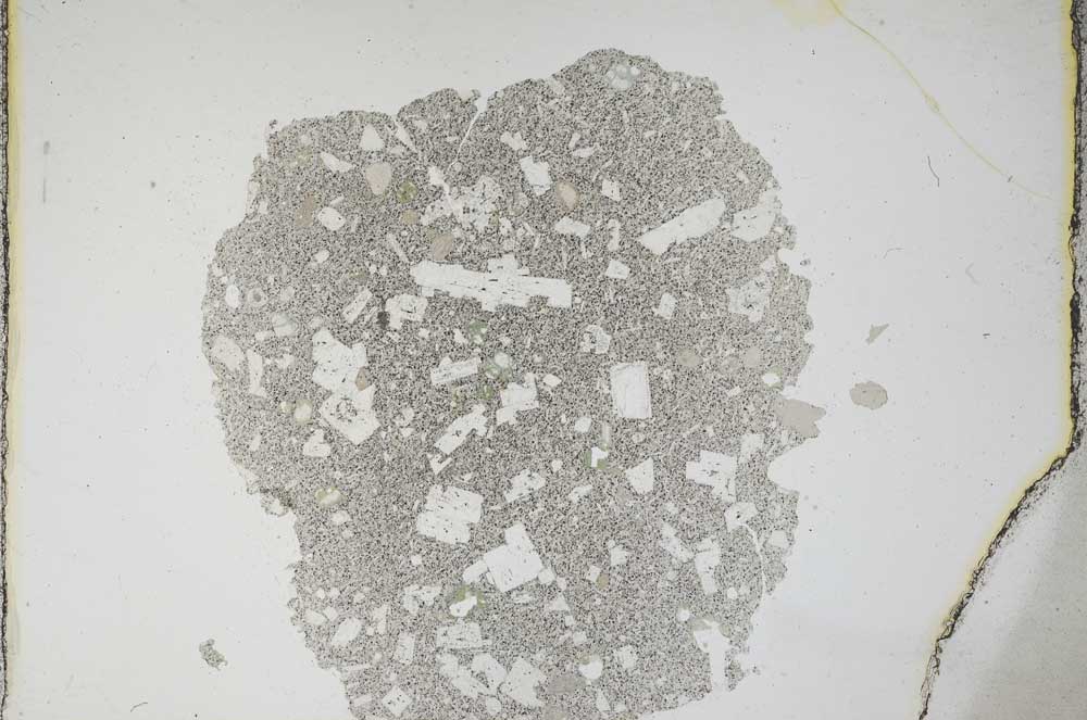 Plane Polarized, S11339