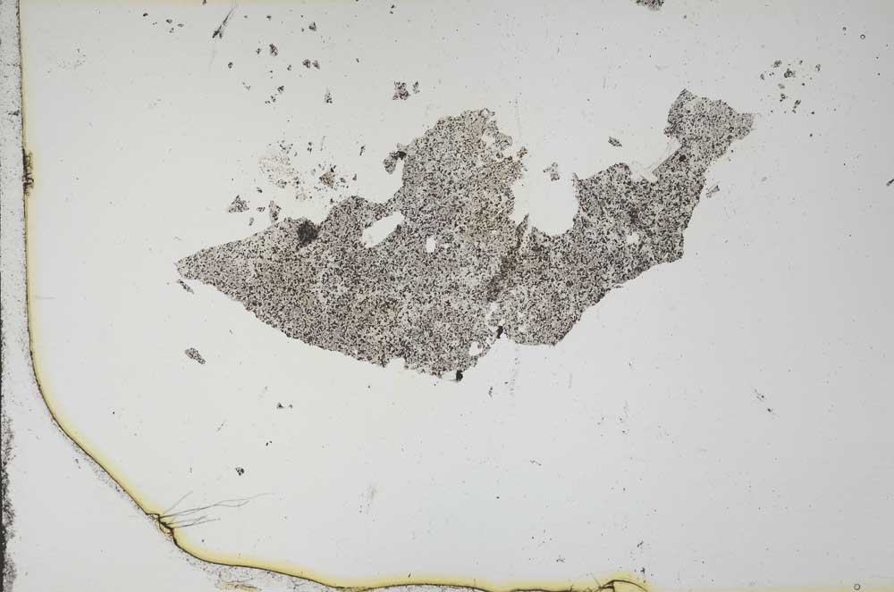 Plane Polarized, S11344