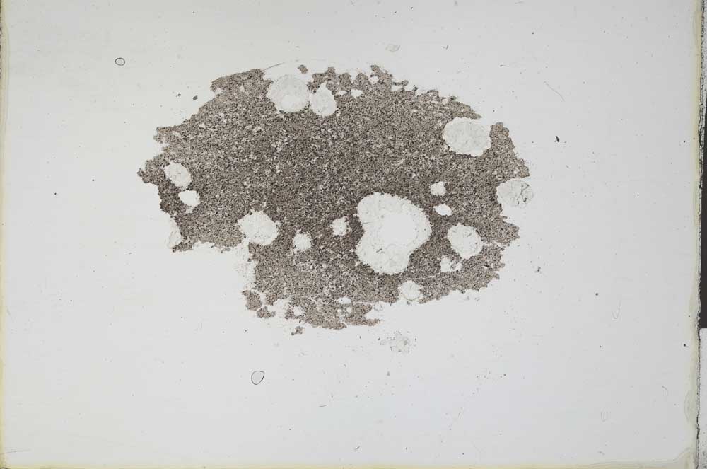 Plane Polarized, S11346