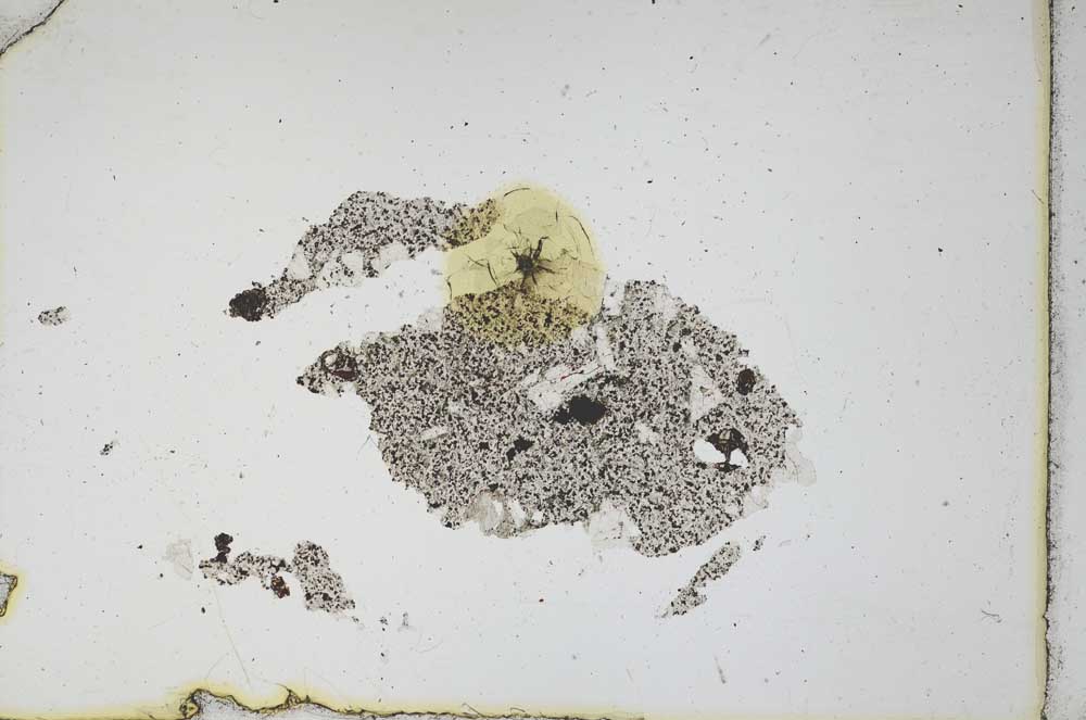Plane Polarized, S11347
