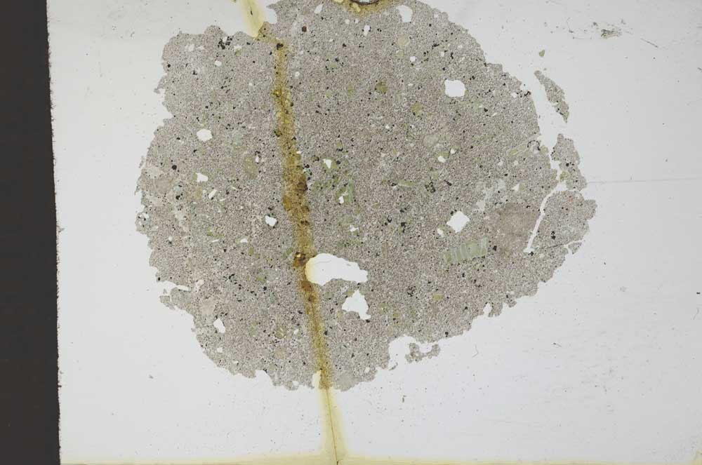 Plane Polarized, S11352
