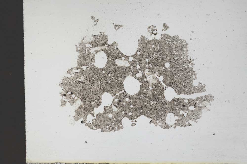 Plane Polarized, S11356